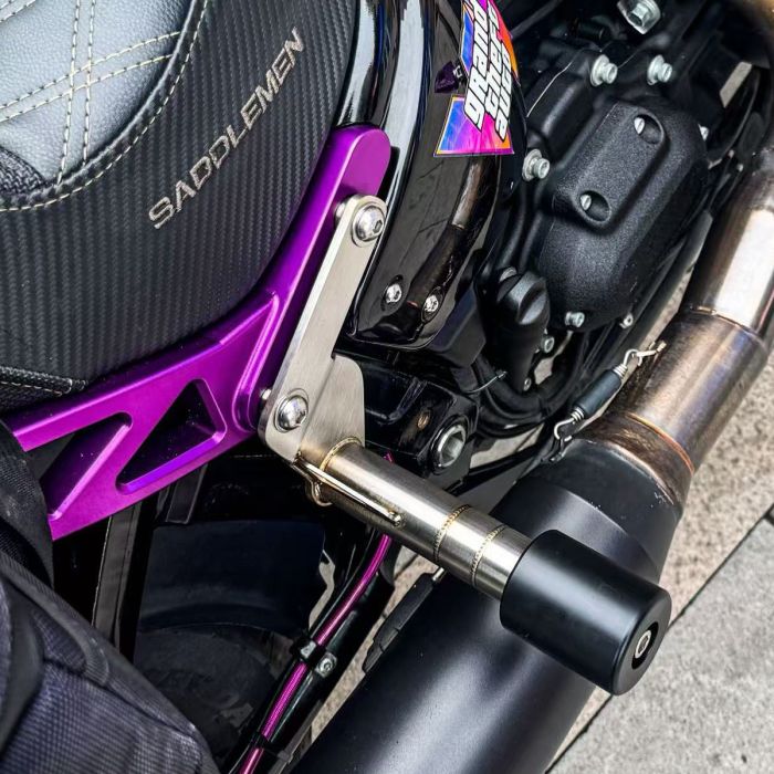 Stainless Passenger Peg Crash Bar / Frame Slider for Harley® Softail '18-'25